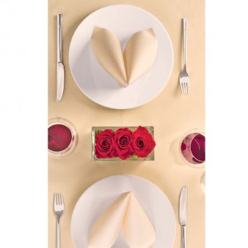 TOVAGLIA MONOUSO PLUS CARTA SECCO CM.100X100 CARAMEL PZ.25