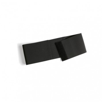 FASCIA ELASTICA
