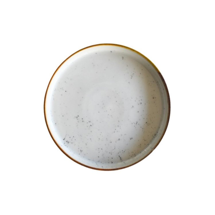 PIATTO PIANO NORDIC STAINS CM.20 SATURNIA Piatto piano nordic stains cm.20 saturnia