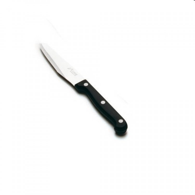 Coltello pizza basic con rivetti punta larga cm.10