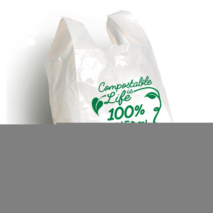Borsetta biodegradabile compostabile cm.27+7+7x50 pz.500 bianco